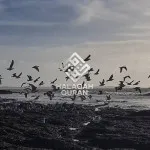 Hiduplah Seiringan dan Jagalah dengan Kuat