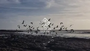 Hiduplah Seiringan dan Jagalah dengan Kuat