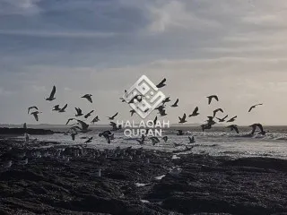 Hiduplah Seiringan dan Jagalah dengan Kuat