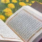 Al-Qur’an adalah Penawar dan Rahmat