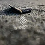 Kedaulatan Jiwa atas Amal Usahanya