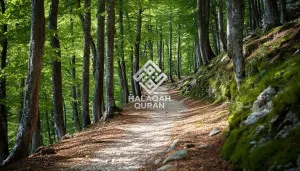 Masuk Islam Secara Menyeluruh