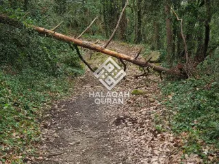 Jangan Hanya Mengingat Allah Saat Kesusahan