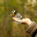 Bertawakallah kepada Allah Yang Maha Perkasa dan Maha Penyayang